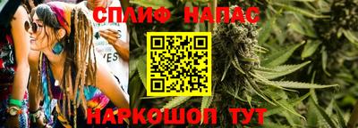 бошки Гагарин