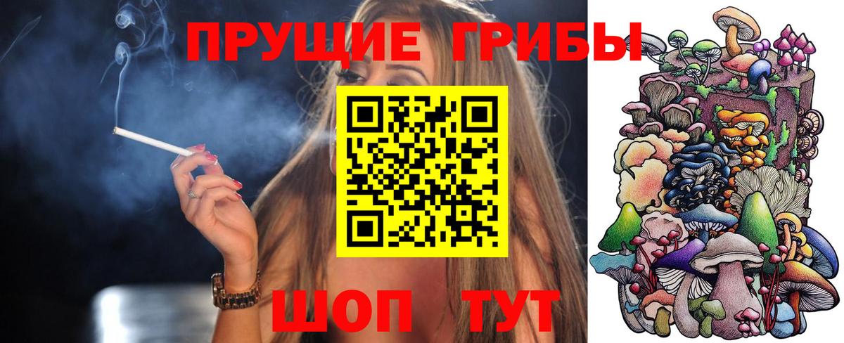 Карабулак  Галлюциногенные грибы GOLDEN TEACHER  Вход с VPN 